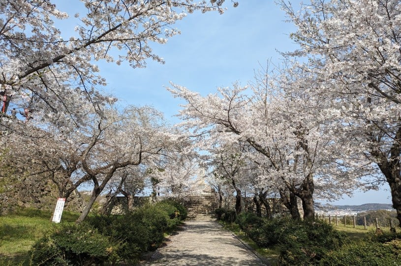 画像2