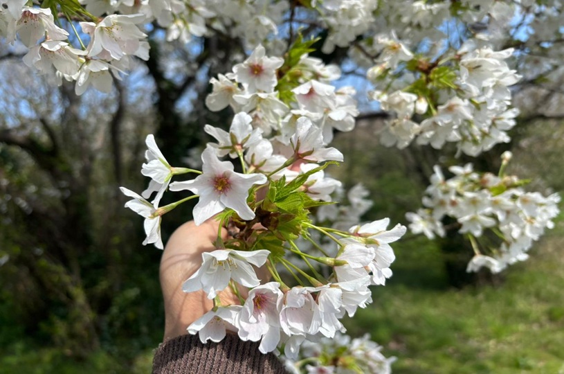 画像4