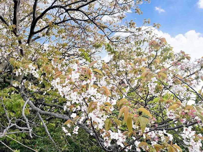 画像2