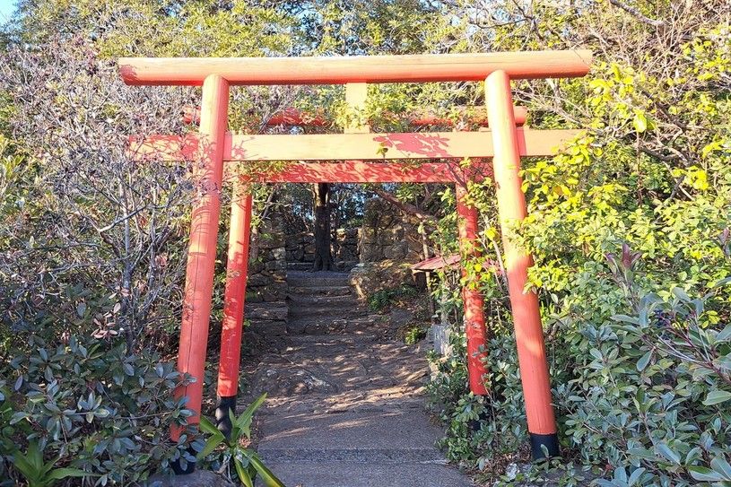 画像1