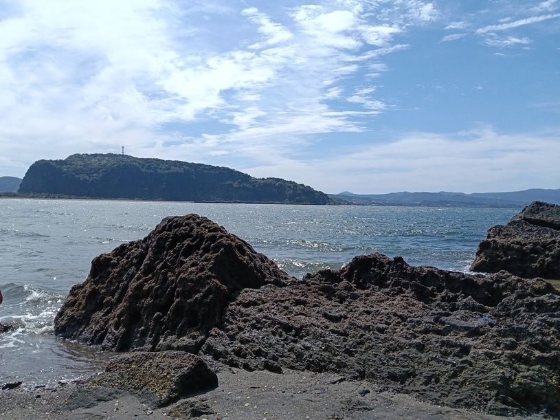 画像4