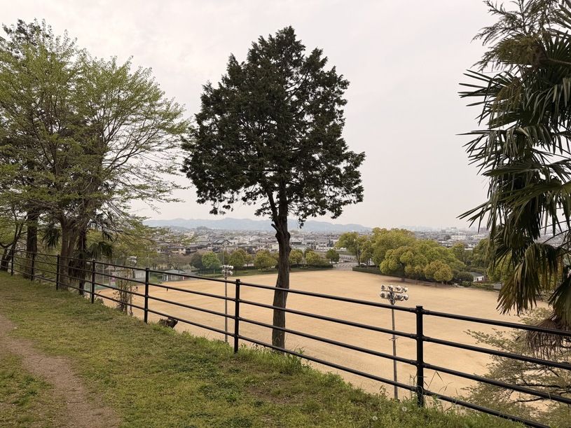 画像5