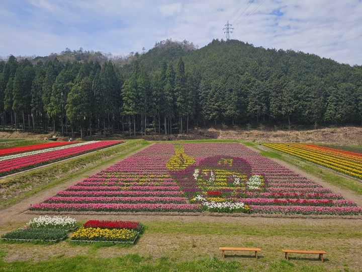 画像5