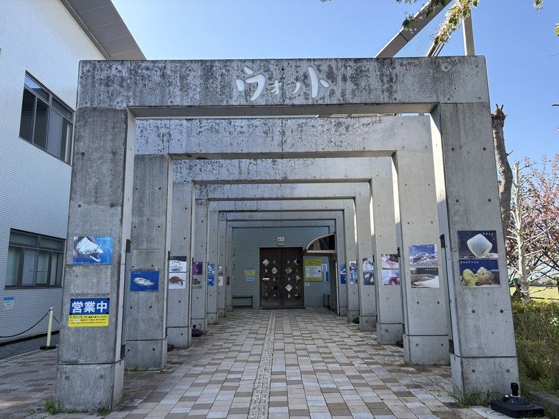 画像1