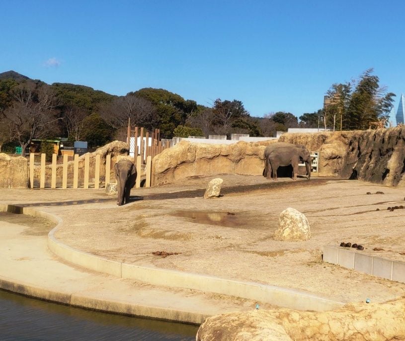 画像1