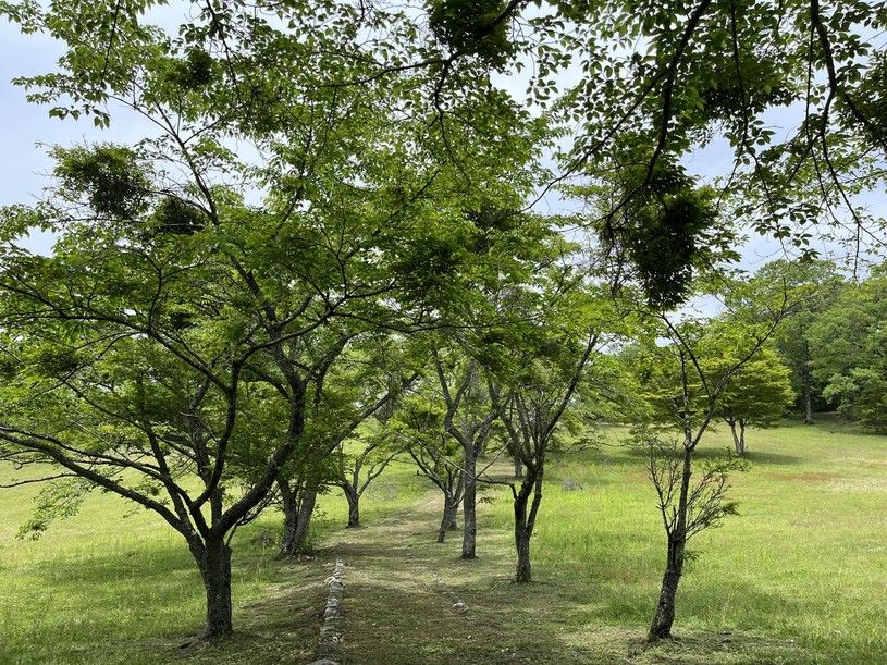 画像4