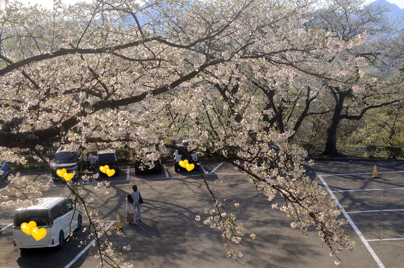 画像4