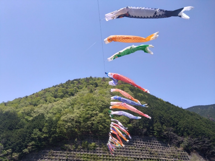 画像5