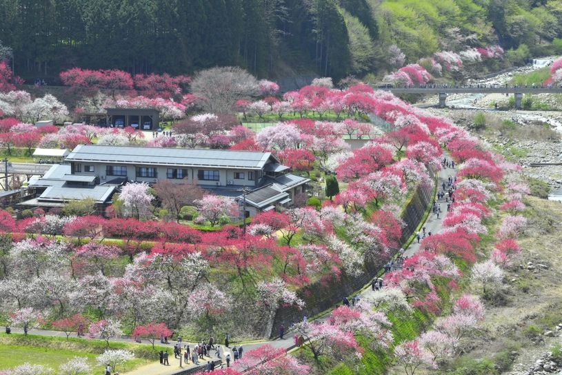 画像2