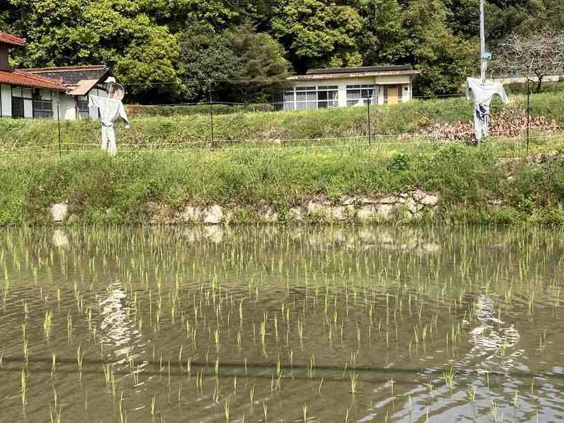 画像1