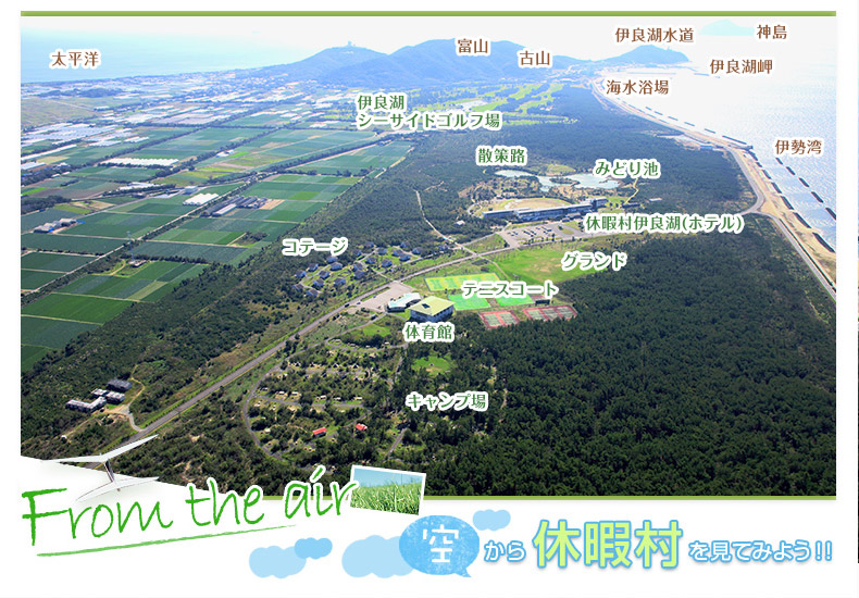 画像5