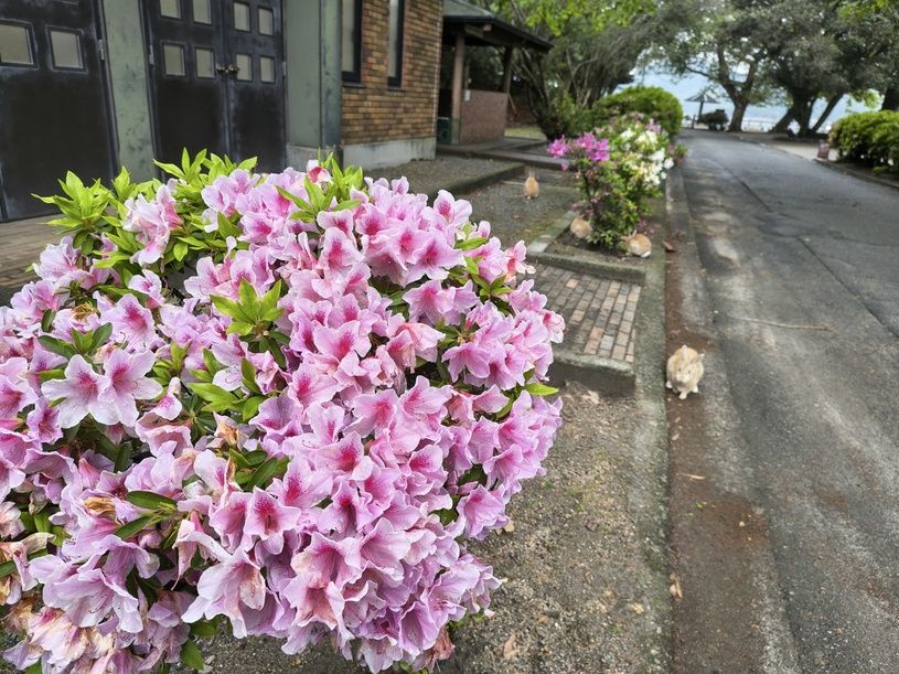 画像2