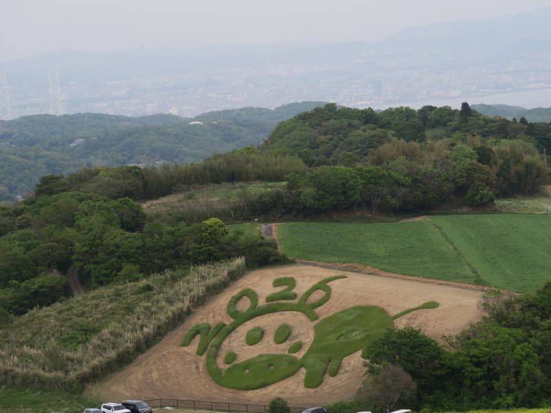 画像4