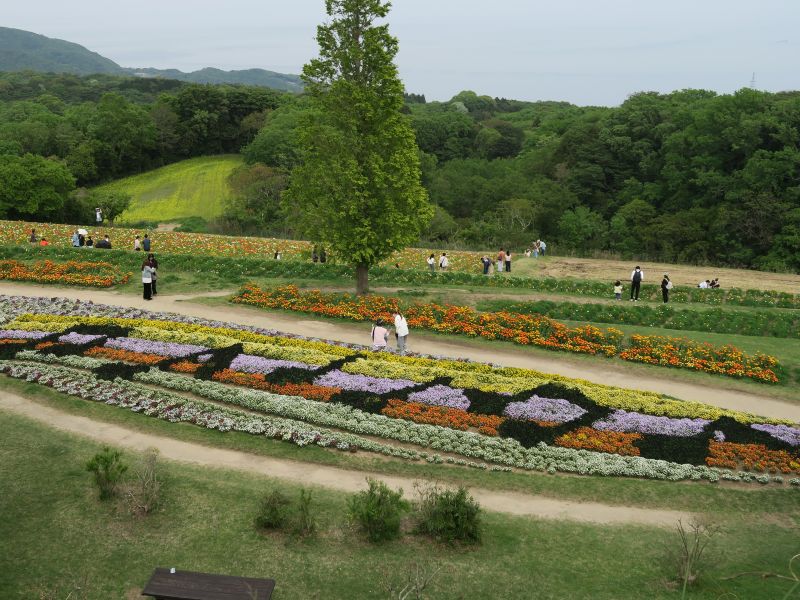 画像5