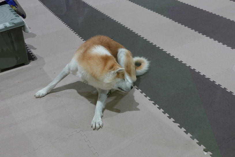 画像1