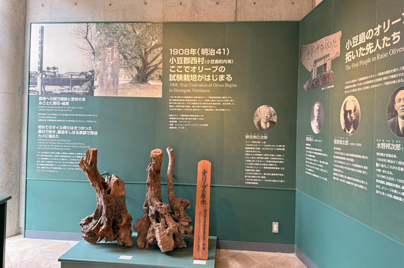 画像5