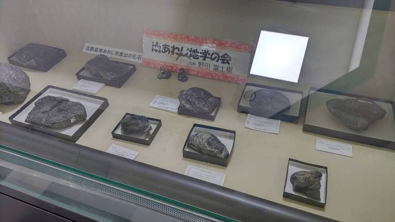 画像4