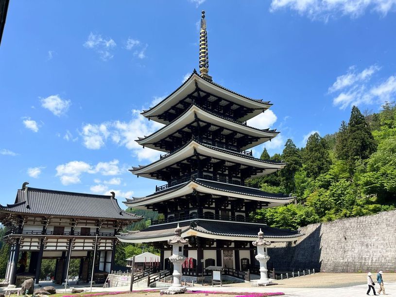 画像4