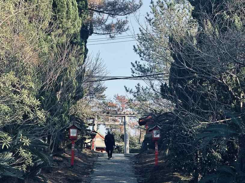 画像4