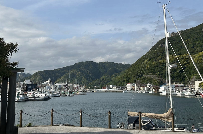 画像4