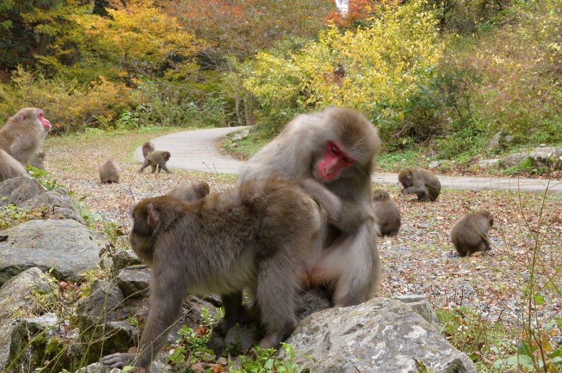 画像5