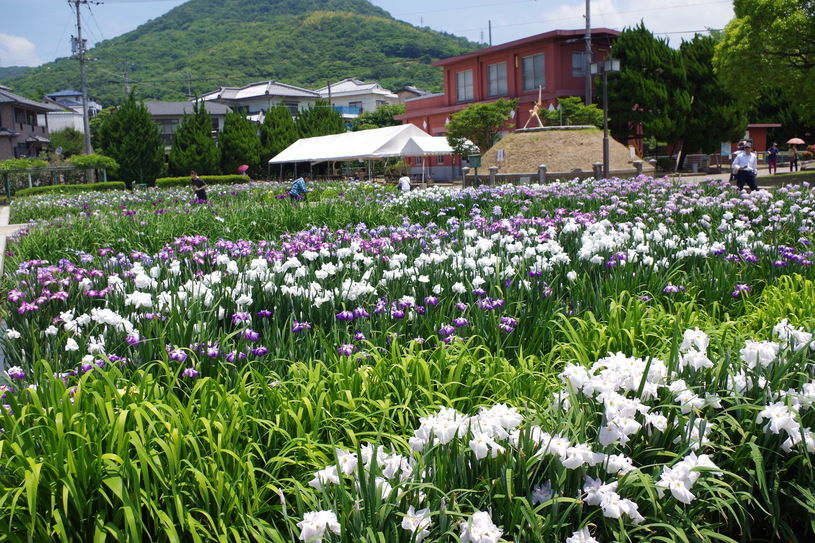 画像4