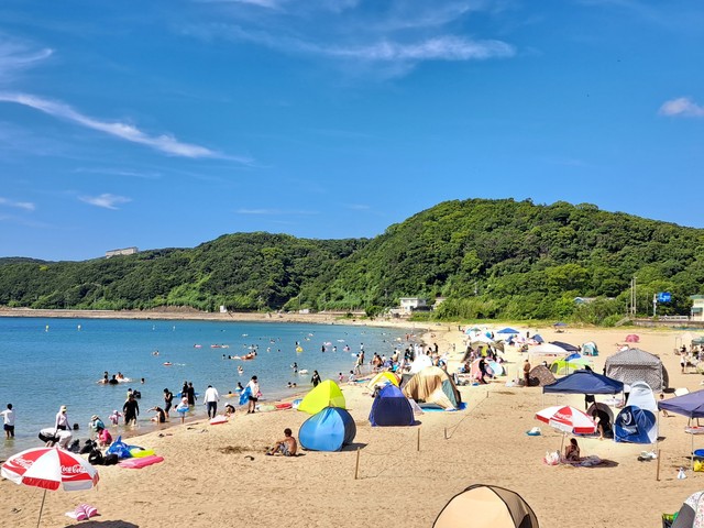 画像2