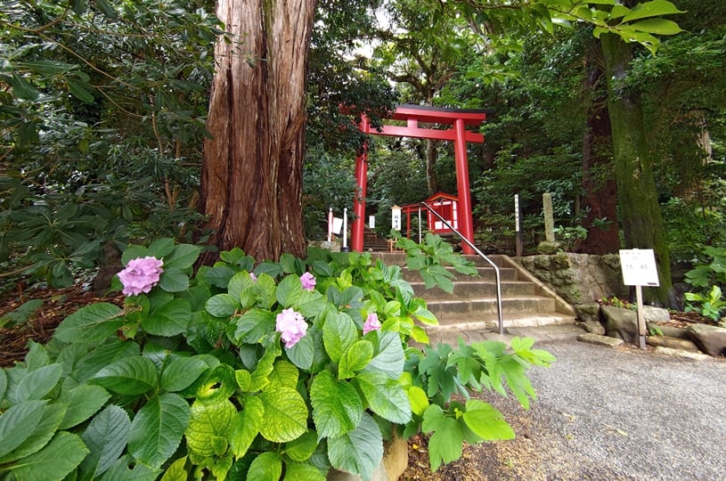 画像4
