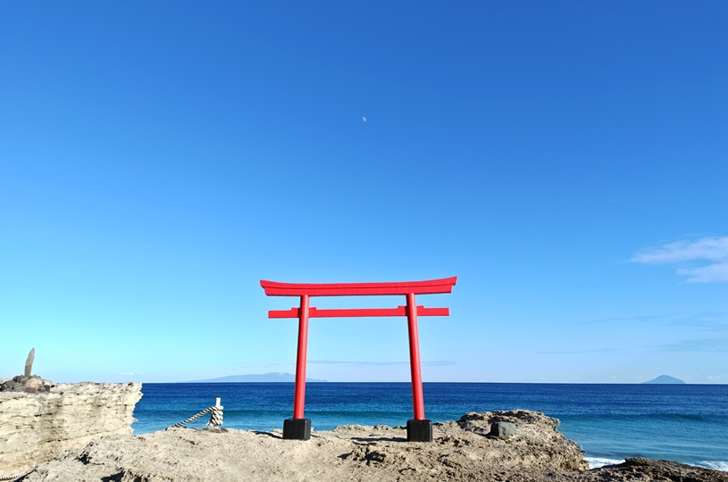 画像5