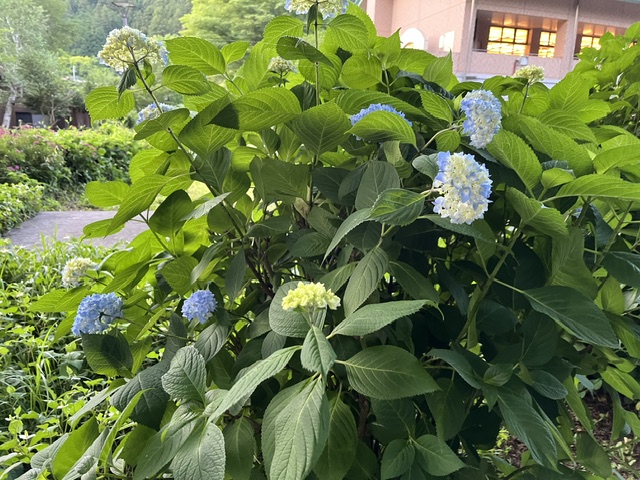 画像2