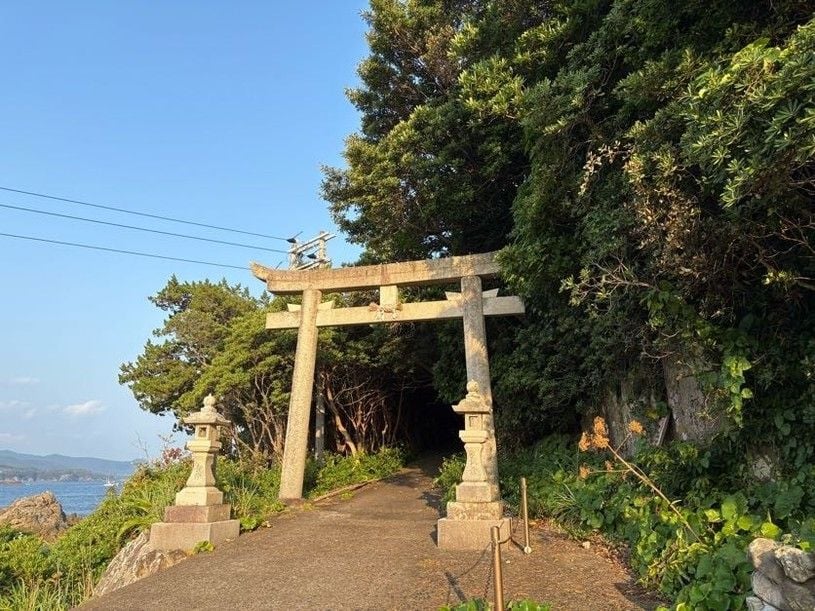 画像4