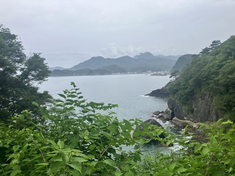 画像5
