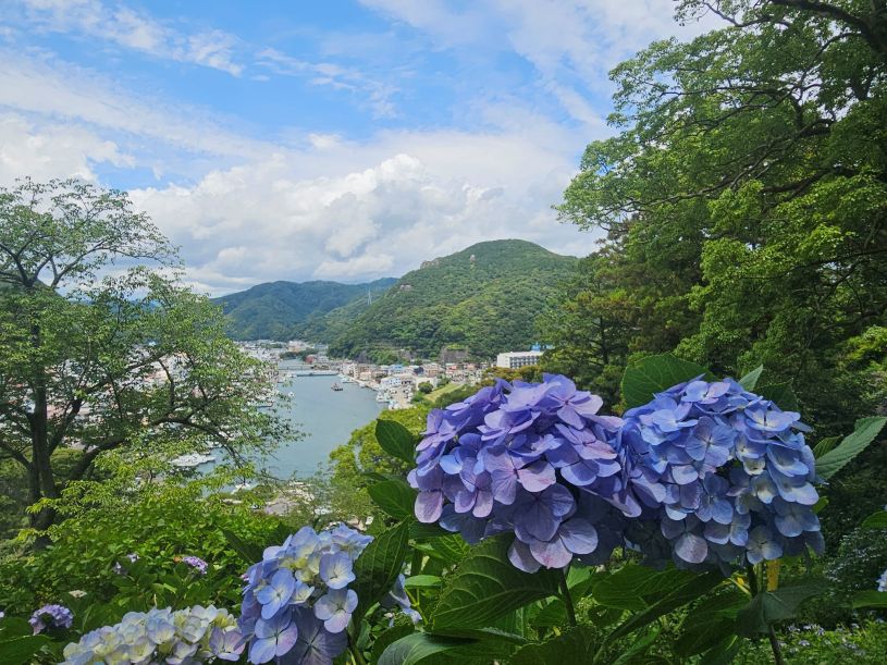 画像2