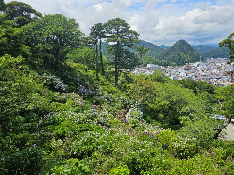 画像2
