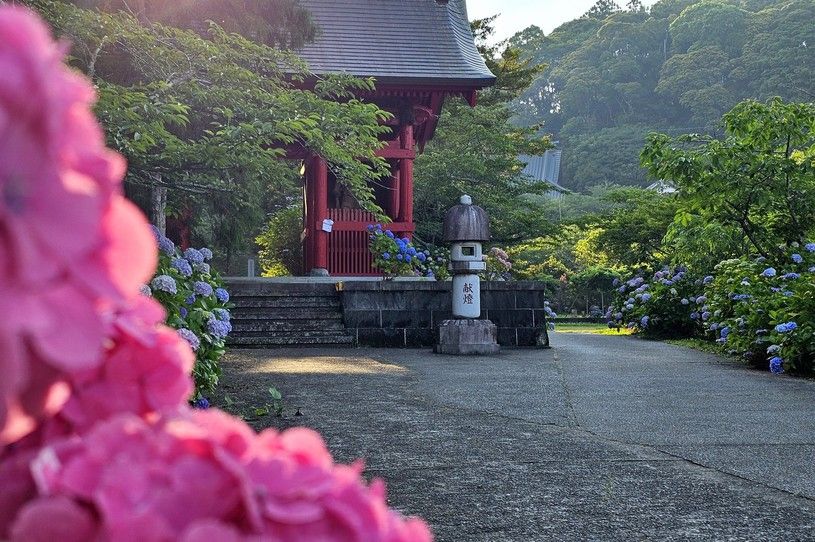 画像2