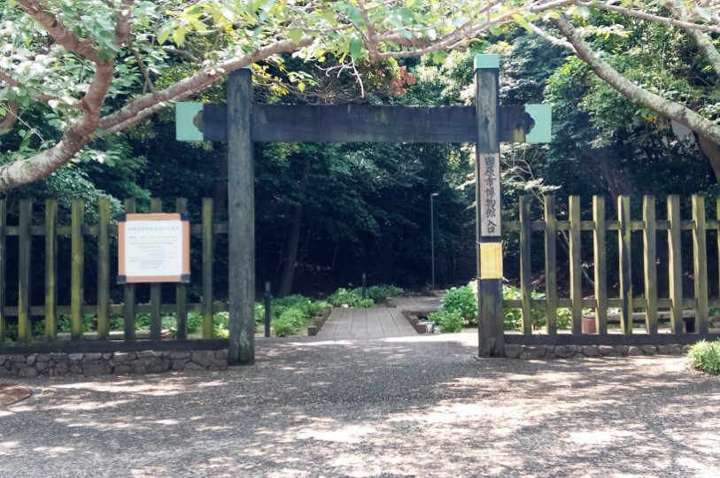 画像3