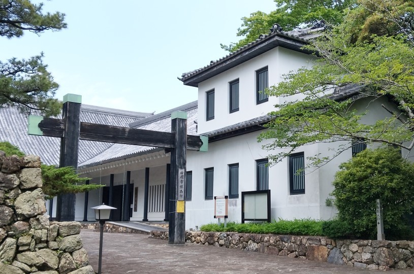 画像5