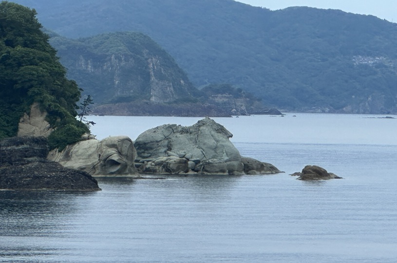 画像5
