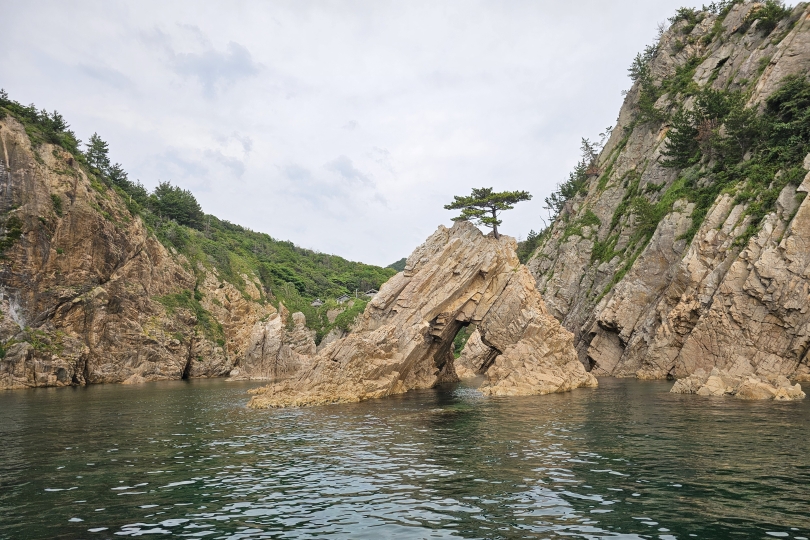 画像4