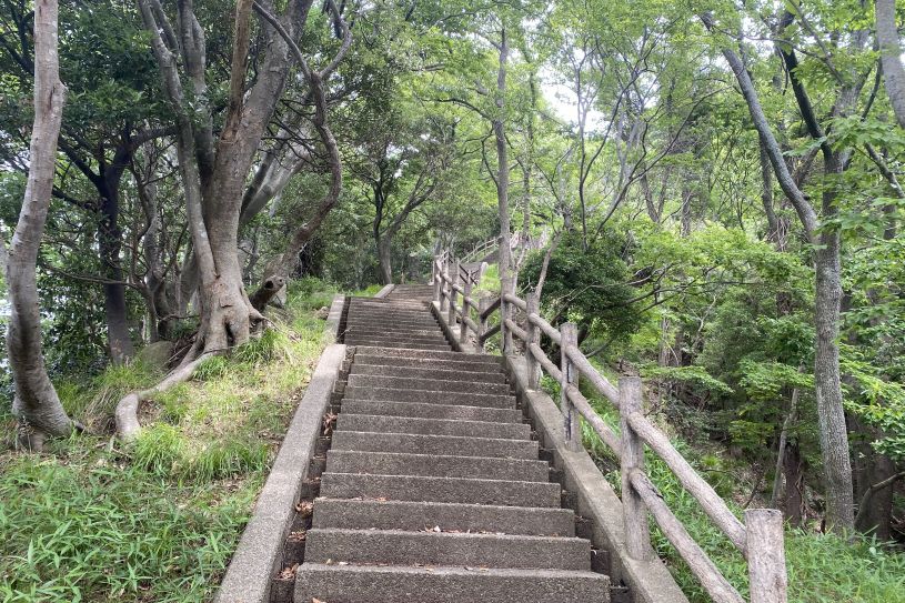 画像3