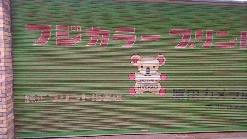 画像5