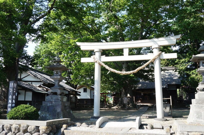 画像3