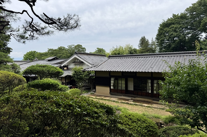 画像4