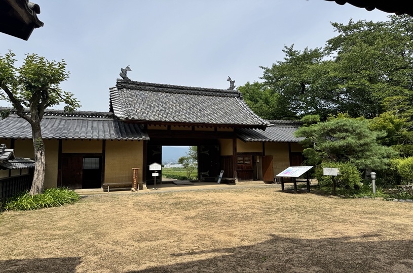 画像5