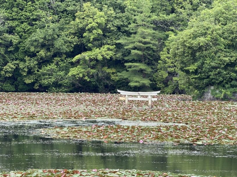 画像1