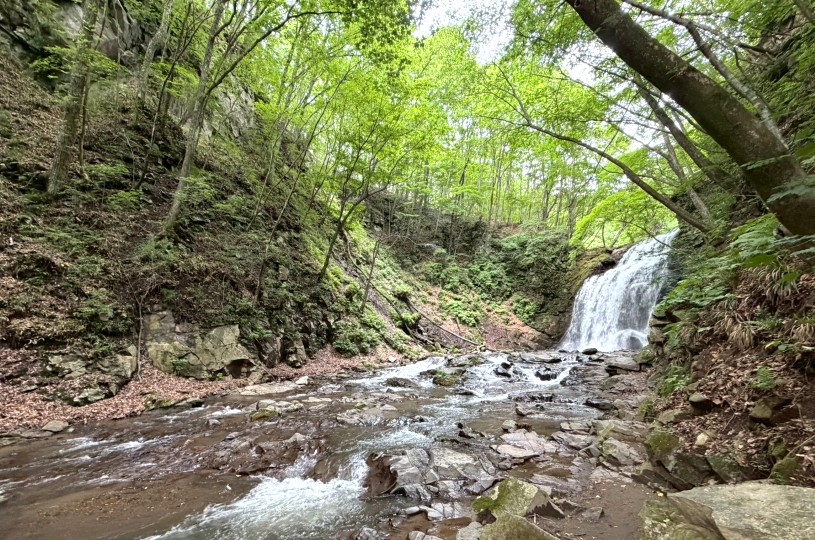 画像5