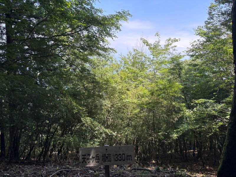 画像4