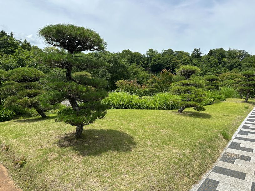 画像2