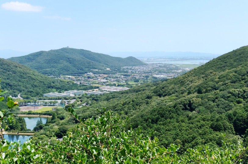画像4