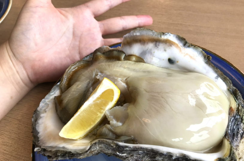 画像1